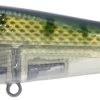 River2Sea ICBM 120 Hard Stickbait/Glidebait 1 River2Sea ICBM 120 Hard Stickbait/Glidebait -Fishing Discount Shop 06BlueGill