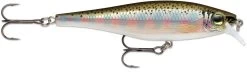 Rapala Balsa Xtreme BX Minnow 10 Medium Diving Jerkbait -Fishing Discount Shop 12582631899191