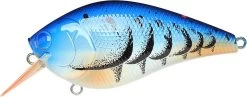Lucky Craft LC 2.5 Shallow Squarebill Crankbait 30 Lucky Craft LC 2.5 Shallow Squarebill Crankbait -Fishing Discount Shop 12607085969463