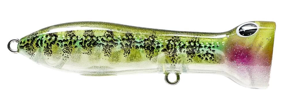 Nomad Design Chug Norris Freshwater/Inshore Popper 8 Nomad Design Chug Norris Freshwater/Inshore Popper - Image 6