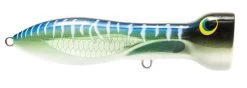Nomad Design Chug Norris Freshwater/Inshore Popper 35 Nomad Design Chug Norris Freshwater/Inshore Popper -Fishing Discount Shop 12674579234871