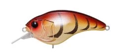 Megabass Sonicside Medium Diving Crankbait 24 Megabass Sonicside Medium Diving Crankbait -Fishing Discount Shop 12963920642103