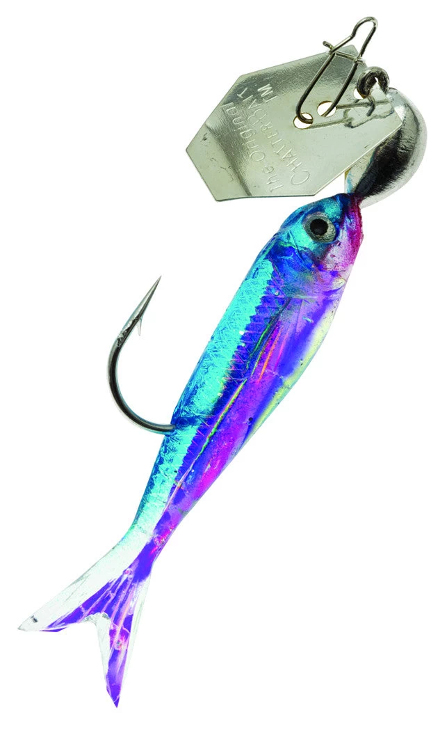 Z-Man ChatterBait FlashBack Mini 12 Z-Man ChatterBait FlashBack Mini - Image 10