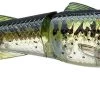 Chasebaits Drunken Mullet 95/130 Topwater Prop Lure -Fishing Discount Shop 31431098630233