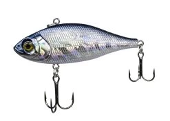 Lunkerhunt Fillet 3 Inch Lipless Crankbait 29 Lunkerhunt Fillet 3 Inch Lipless Crankbait -Fishing Discount Shop 31494701514841