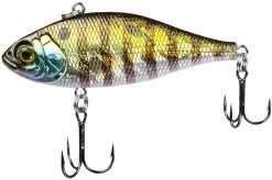 Lunkerhunt Fillet 3 Inch Lipless Crankbait 31 Lunkerhunt Fillet 3 Inch Lipless Crankbait -Fishing Discount Shop 31494701580377