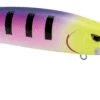 SPRO MadEye Minnow 120 Deep Diving Walleye Trolling Lure -Fishing Discount Shop 32339518554201