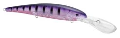 SPRO MadEye Minnow 120 Deep Diving Walleye Trolling Lure -Fishing Discount Shop 32339518750809