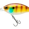 Hardcore Crank 70F 3+ Deep Diving Crankbait 1 Hardcore Crank 70F 3+ Deep Diving Crankbait -Fishing Discount Shop 39376069034073