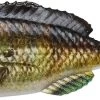 Savage Gear Structure Gill Swimbait -Fishing Discount Shop 40090735837273
