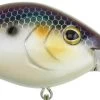 Berkley Dredger Deep Diving Crankbait Deeper Diving Models -Fishing Discount Shop 40325003018329