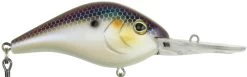 Berkley Dredger Deep Diving Crankbait Deeper Diving Models