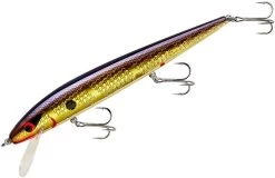 Smithwick Perfect 10 Rogue 5 1/2 Inch Deep Diving Suspending Jerkbait 39 Smithwick Perfect 10 Rogue 5 1/2 Inch Deep Diving Suspending Jerkbait -Fishing Discount Shop ADR5213