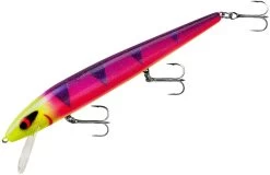 Smithwick Perfect 10 Rogue 5 1/2 Inch Deep Diving Suspending Jerkbait 33 Smithwick Perfect 10 Rogue 5 1/2 Inch Deep Diving Suspending Jerkbait -Fishing Discount Shop ADR5291