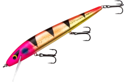 Smithwick Perfect 10 Rogue 5 1/2 Inch Deep Diving Suspending Jerkbait 34 Smithwick Perfect 10 Rogue 5 1/2 Inch Deep Diving Suspending Jerkbait -Fishing Discount Shop ADR5334