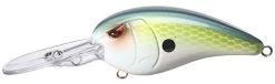SPRO Mike McClelland RkCrawler 55 Deep Diving Crankbait -Fishing Discount Shop Ayu Shad 922eb252 6597 40c6 8dd7 76776bafdde8