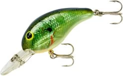 Bandit 200 Series Medium Diving Crankbait -Fishing Discount Shop BDT2B38