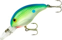 Bandit 200 Series Medium Diving Crankbait -Fishing Discount Shop BDT2D01