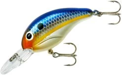 Bandit 200 Series Medium Diving Crankbait -Fishing Discount Shop BDT2D62