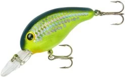 Bandit 200 Series Medium Diving Crankbait -Fishing Discount Shop BDT2D66
