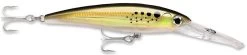 Rapala X-Rap Magnum 15 Big Game Slash Bait 24 Rapala X-Rap Magnum 15 Big Game Slash Bait -Fishing Discount Shop Bunker 8b9dd726 694e 41a9 997e 2323dcbbe37b