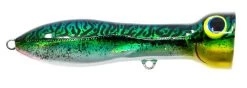 Nomad Design Chug Norris Freshwater/Inshore Popper 39 Nomad Design Chug Norris Freshwater/Inshore Popper -Fishing Discount Shop CHUG95 SGM