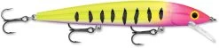 Rapala Husky Jerk 12 Jerkbait/Trolling Minnow -Fishing Discount Shop HJ12 14 HSP c0cefd50 01c8 4b5f 9360 7dbfd48df54b