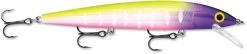 Rapala Husky Jerk 12 Jerkbait/Trolling Minnow -Fishing Discount Shop HJ12 14 MFT 30c50575 8d12 44fc 883c 4253fe262622