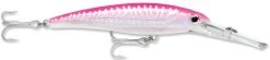 Rapala X-Rap Magnum 15 Big Game Slash Bait 29 Rapala X-Rap Magnum 15 Big Game Slash Bait -Fishing Discount Shop Hot Pink UV dcd027df 4fc6 46e7 ad9b d30b1d6099a2