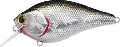 Lucky Craft LC 2.5 Shallow Squarebill Crankbait 24 Lucky Craft LC 2.5 Shallow Squarebill Crankbait -Fishing Discount Shop LC 2 5 419BPGSN