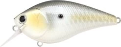 Lucky Craft LC 2.5 Shallow Squarebill Crankbait 32 Lucky Craft LC 2.5 Shallow Squarebill Crankbait -Fishing Discount Shop LC 2 5 426GTFSD