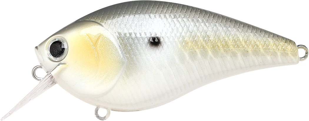 Lucky Craft LC 2.5 Shallow Squarebill Crankbait 13 Lucky Craft LC 2.5 Shallow Squarebill Crankbait - Image 11