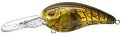 SPRO Mike McClelland RkCrawler 55 Deep Diving Crankbait -Fishing Discount Shop Phantom Watermelon 9d9b2fef 905e 4065 a77a e65d5ca172cc
