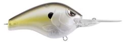 SPRO Fat Papa 55 Medium Diving Crankbait 29 SPRO Fat Papa 55 Medium Diving Crankbait -Fishing Discount Shop SBD55CCH ClearChartreuse c70f4977 9f89 432c 9d24 023dc6de9bcd