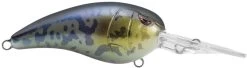 SPRO Mike McClelland RkCrawler 55 Deep Diving Crankbait -Fishing Discount Shop SRC55GBY Goby c2787619 c747 4b9e 81ad 017876521898