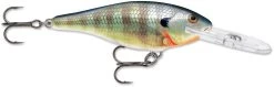 Rapala Shad Rap 2 1/2 Inch Medium Diving Crankbait SR06 25 Rapala Shad Rap 2 1/2 Inch Medium Diving Crankbait SR06 -Fishing Discount Shop SR BG 9b8dd613 404b 4488 960c 7161922af8f3