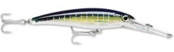 Rapala X-Rap Magnum 40 Big Game Slash Bait 36 Rapala X-Rap Magnum 40 Big Game Slash Bait -Fishing Discount Shop Sailfish UV 49f7a10f d6dd 4b31 86c5 efe898da306a