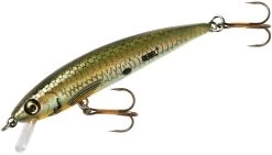 Rebel TD47 Tracdown Ghost Minnow 2 1/2 Inch Barbless Hard Minnow -Fishing Discount Shop TD47542