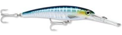 Rapala X-Rap Magnum 40 Big Game Slash Bait 41 Rapala X-Rap Magnum 40 Big Game Slash Bait -Fishing Discount Shop Wahoo UV 2c4c9f3b 81da 4158 a671 69dfaa66e472