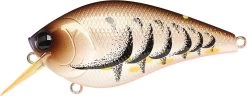 Lucky Craft LC 2.5 Shallow Squarebill Crankbait 36 Lucky Craft LC 2.5 Shallow Squarebill Crankbait -Fishing Discount Shop cameleon brown craw