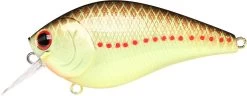 Lucky Craft LC 2.5 Shallow Squarebill Crankbait 27 Lucky Craft LC 2.5 Shallow Squarebill Crankbait -Fishing Discount Shop copper 2Bperch