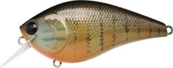 Lucky Craft LC 2.5 Shallow Squarebill Crankbait 39 Lucky Craft LC 2.5 Shallow Squarebill Crankbait -Fishing Discount Shop gold pumpkin seed