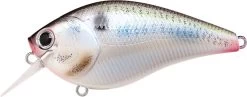 Lucky Craft LC 2.5 Shallow Squarebill Crankbait 37 Lucky Craft LC 2.5 Shallow Squarebill Crankbait -Fishing Discount Shop live threadfin shad
