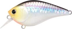 Lucky Craft LC 2.5 Shallow Squarebill Crankbait 35 Lucky Craft LC 2.5 Shallow Squarebill Crankbait -Fishing Discount Shop ms 2Bimpulse 2Bshad