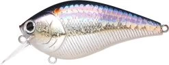 Lucky Craft LC 2.5 Shallow Squarebill Crankbait 34 Lucky Craft LC 2.5 Shallow Squarebill Crankbait -Fishing Discount Shop ms american shad