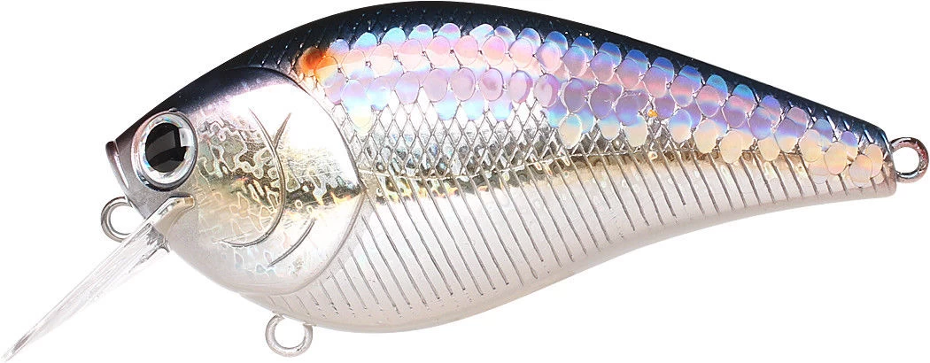 Lucky Craft LC 2.5 Shallow Squarebill Crankbait 15 Lucky Craft LC 2.5 Shallow Squarebill Crankbait - Image 13
