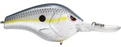 SPRO Fat Papa 55 Medium Diving Crankbait 26 SPRO Fat Papa 55 Medium Diving Crankbait -Fishing Discount Shop nasty shad e0229dbd 48e2 4c80 90d4 996c41c702b3