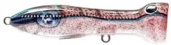 Nomad Design Chug Norris Freshwater/Inshore Popper 36 Nomad Design Chug Norris Freshwater/Inshore Popper -Fishing Discount Shop squid surprise