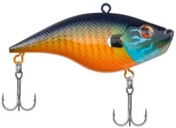 Fishing Discount Shop -Fishing Discount Shop warpig gilly