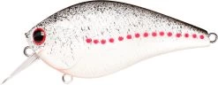Lucky Craft LC 2.5 Shallow Squarebill Crankbait 41 Lucky Craft LC 2.5 Shallow Squarebill Crankbait -Fishing Discount Shop white 2Bshad